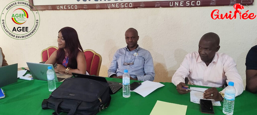 Roderick Agee A.G.E.E – AGEE : Agir aujourd'hui pour la Guinée de demain.